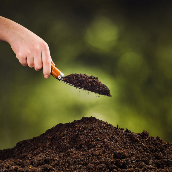 soil