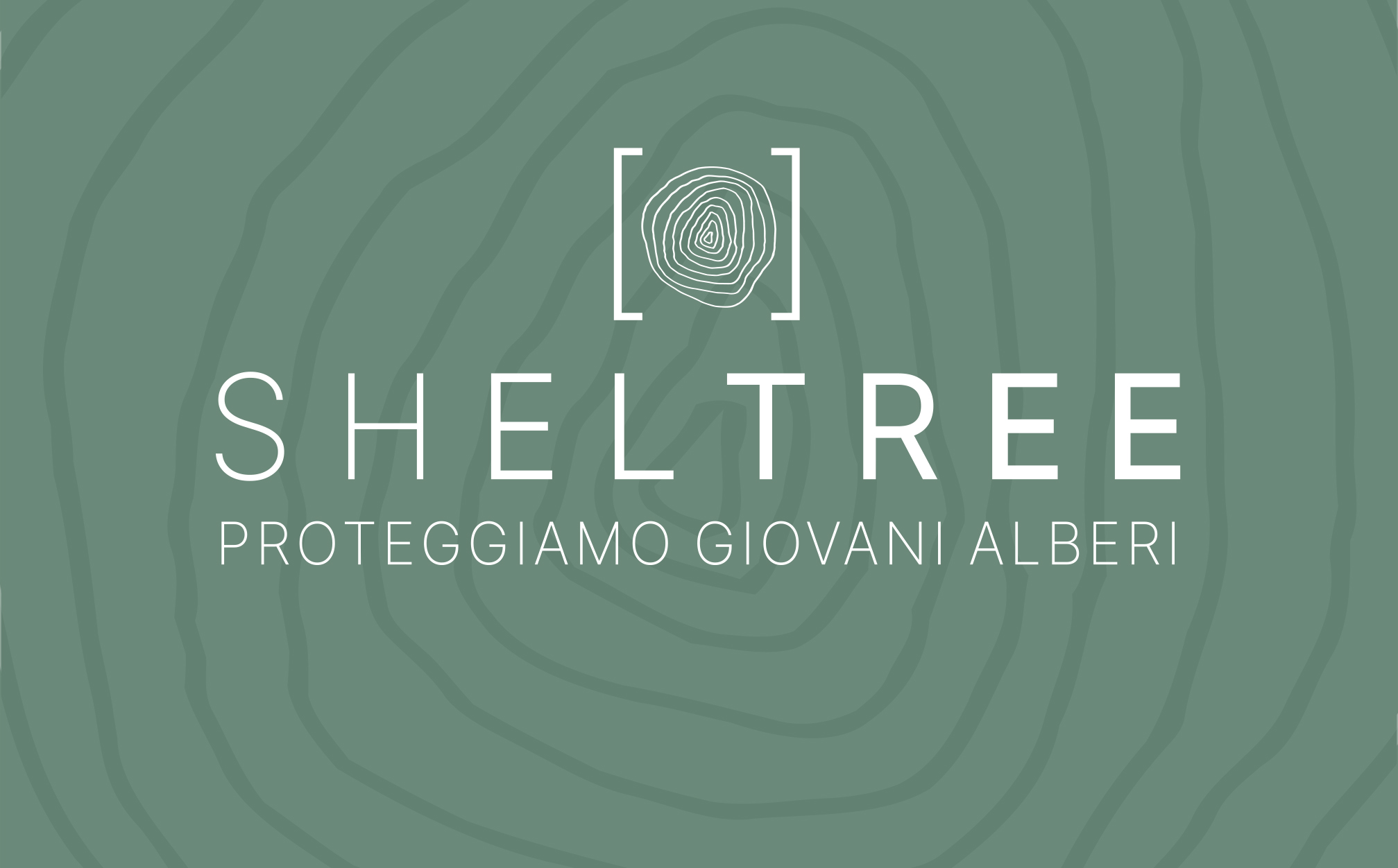 discover shell-tree